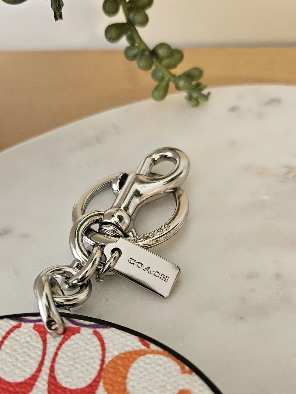 COACH Skate Not Hate Rainbow Wing Keychain ๐ - Picture 4 of 8